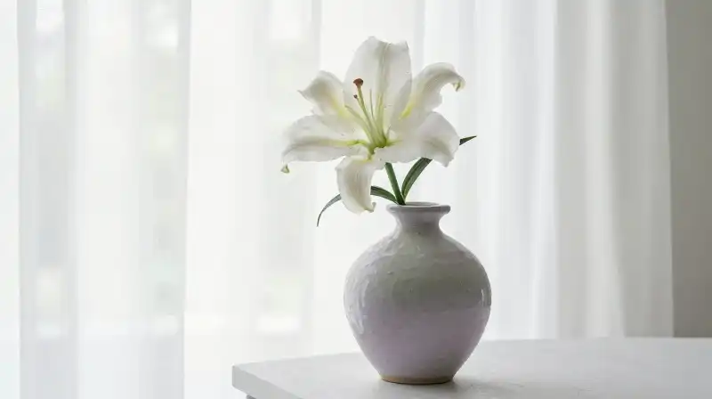 A single white lily rests in a ceramic vase